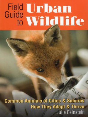 cover image of Field Guide to Urban Wildlife